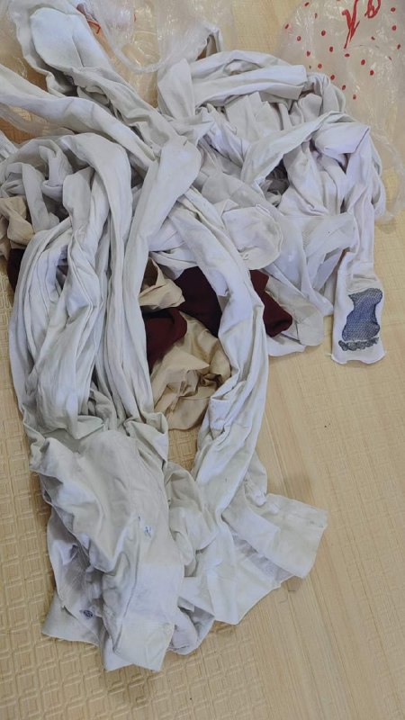 Photo gallery from 20240530, image 1