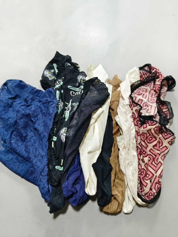 Photo gallery from 20250814, image 3