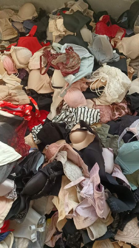 Photo gallery from 20240123, image 6