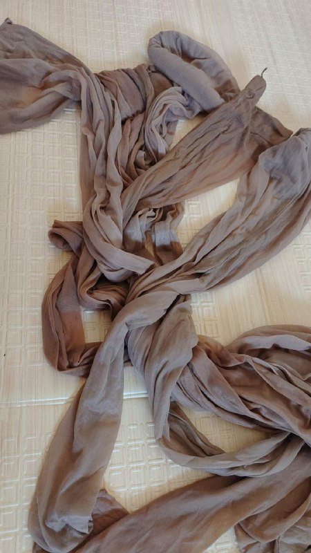 Photo gallery from 20230828, image 12