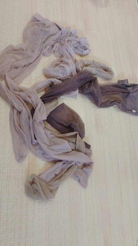 Photo gallery from 20231018, image 10