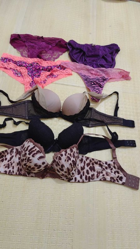 Photo gallery from 20250813, image 5