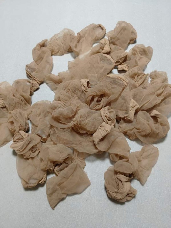 Photo gallery from 20240107, image 12