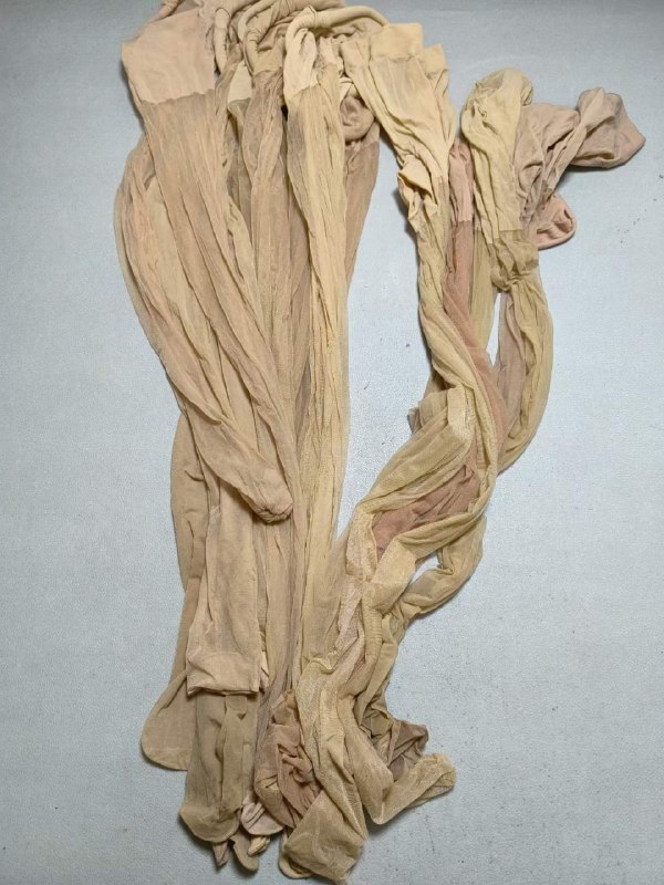 Photo gallery from 20231121, image 1