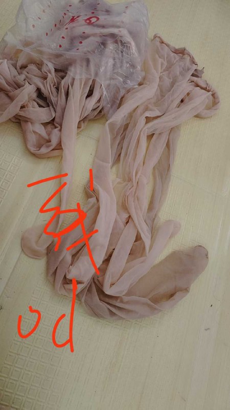 Photo gallery from 20250823, image 10