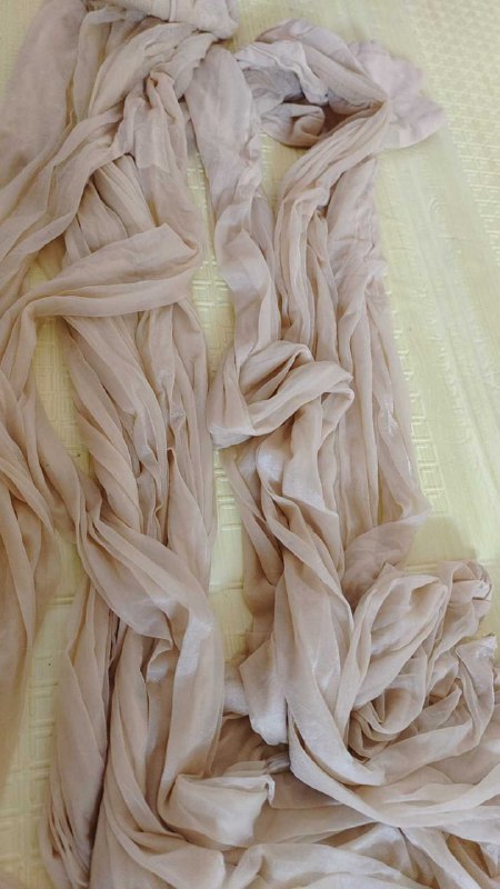 Photo gallery from 20250803, image 9