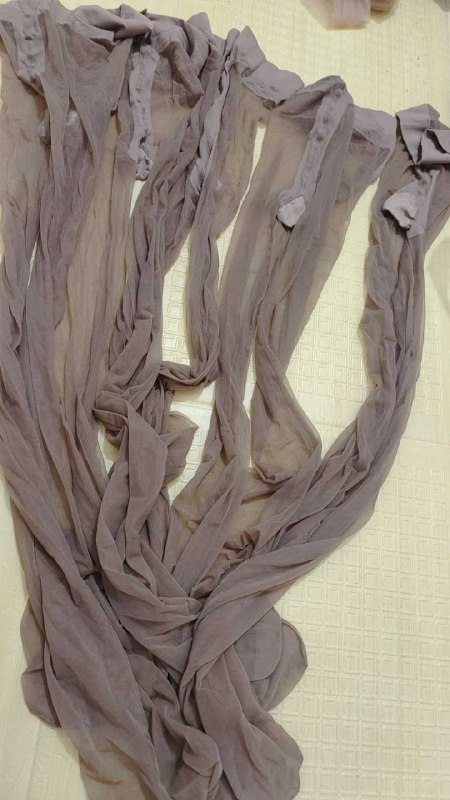 Photo gallery from 20250815, image 2