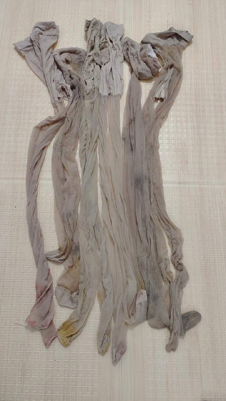 Photo gallery from 20240203, image 4