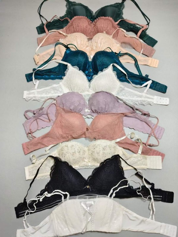 Photo gallery from 20230811, image 11