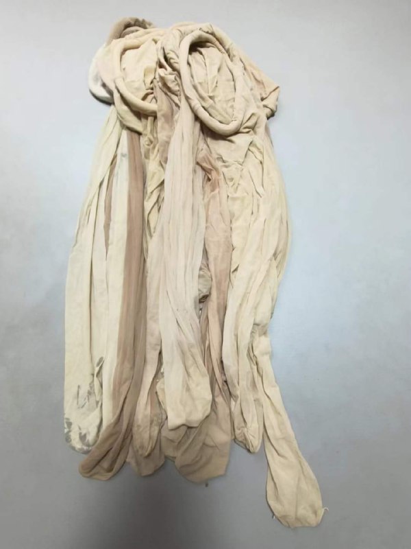 Photo gallery from 20240628, image 6