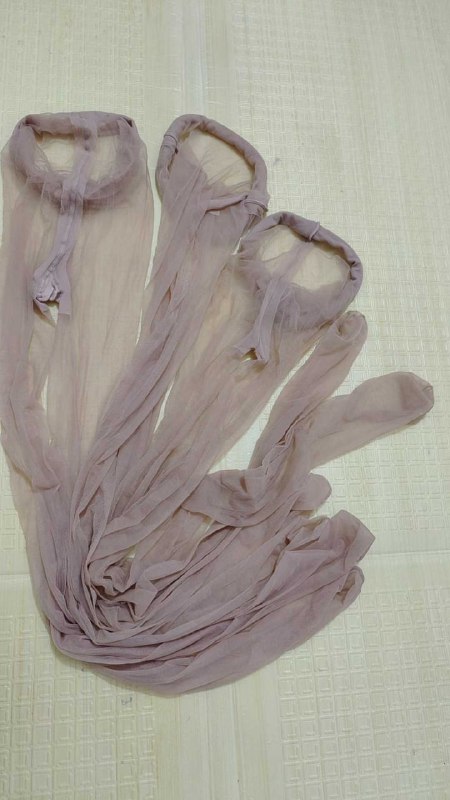 Photo gallery from 20250811, image 11