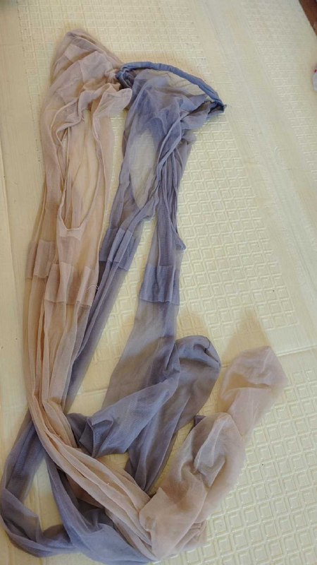 Photo gallery from 20250913, image 5