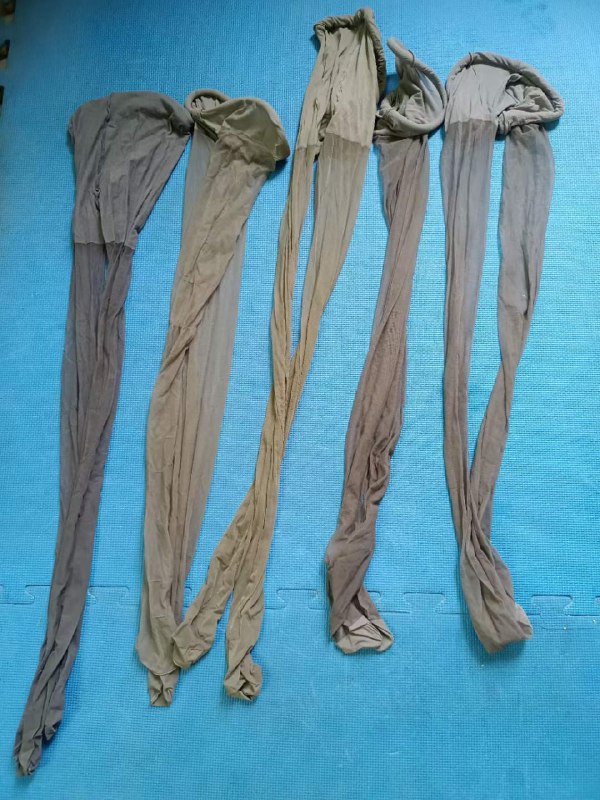 Photo gallery from 20230612, image 5