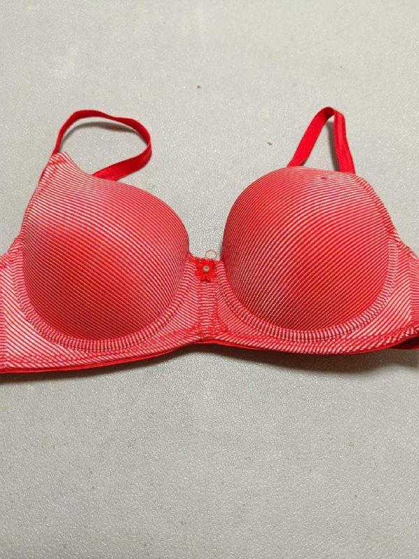 Photo gallery from 20231117, image 4