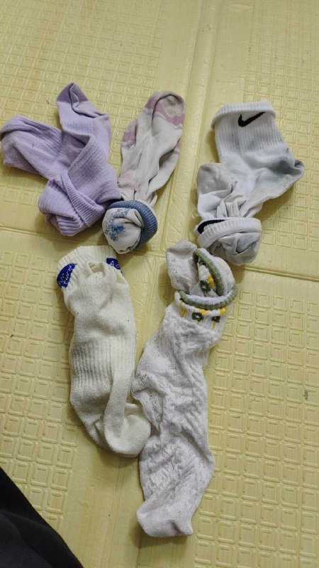 Photo gallery from 20251103, image 5