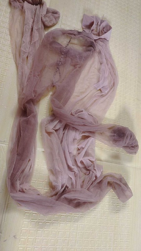 Photo gallery from 20250911, image 12