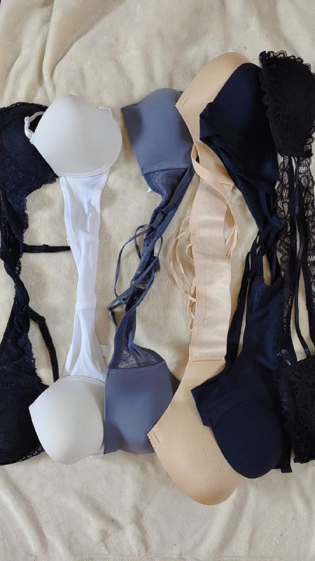 Photo gallery from 20231019, image 3