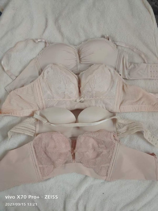 Photo gallery from 20230915, image 5