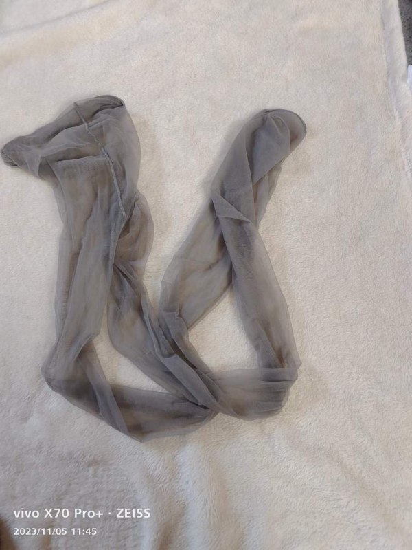 Photo gallery from 20231105, image 2