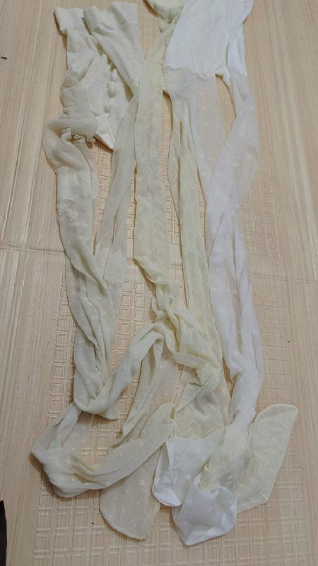 Photo gallery from 20240201, image 3