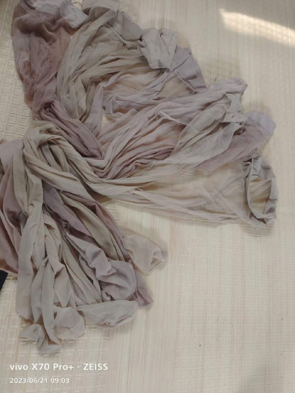 Photo gallery from 20230621, image 9