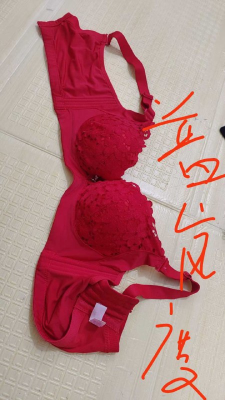 Photo gallery from 20251014, image 8