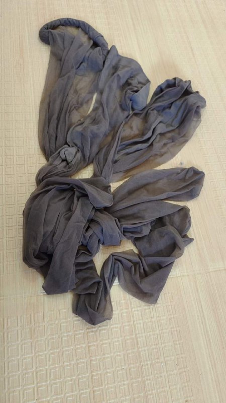 Photo gallery from 20230911, image 7