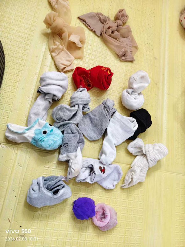 Photo gallery from 20260208, image 5