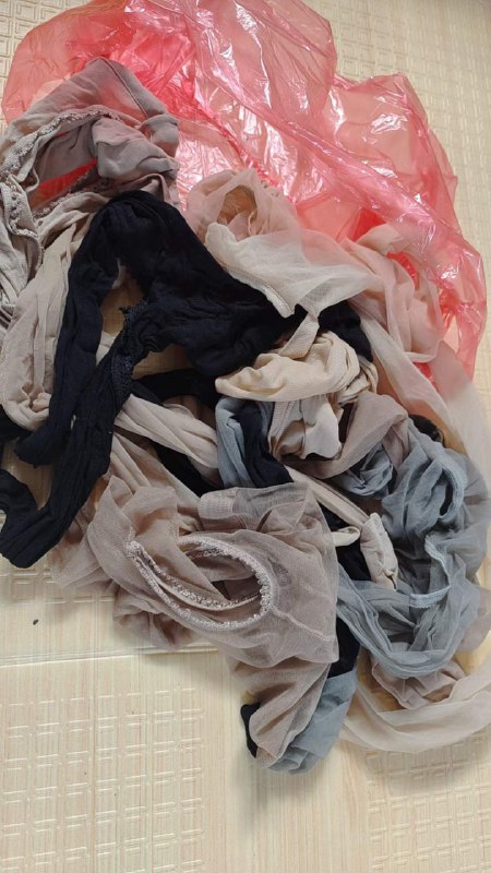 Photo gallery from 20230808, image 5