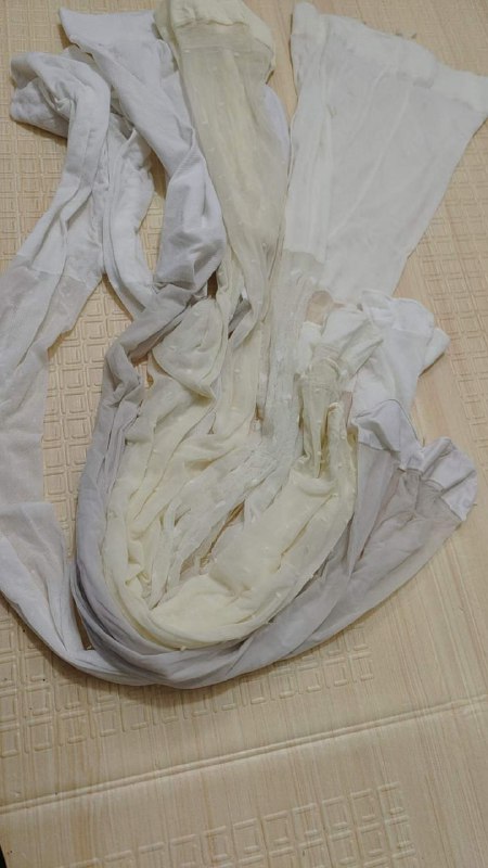 Photo gallery from 20240619, image 2