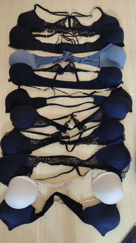 Photo gallery from 20230813, image 8