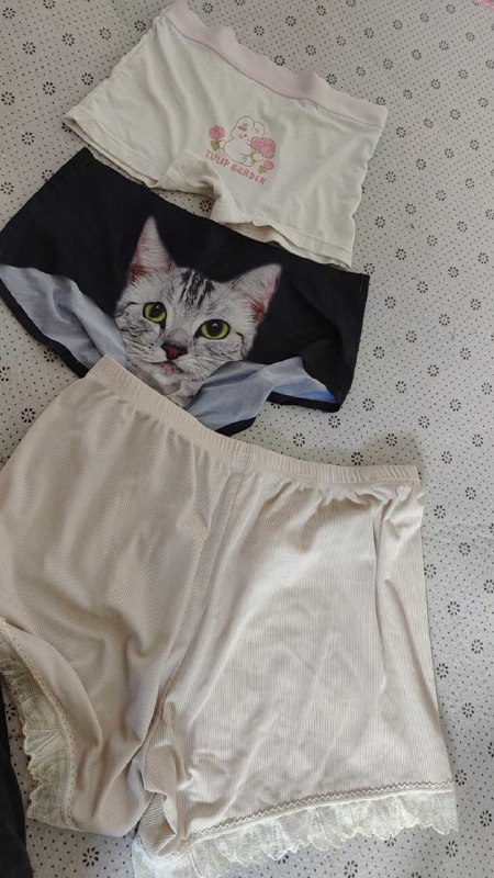 Photo gallery from 20250925, image 6