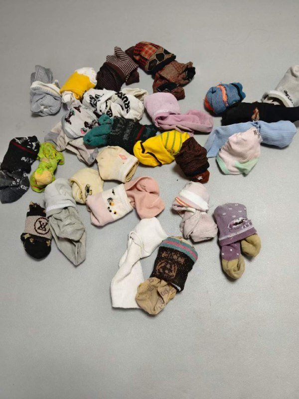 Photo gallery from 20231008, image 3