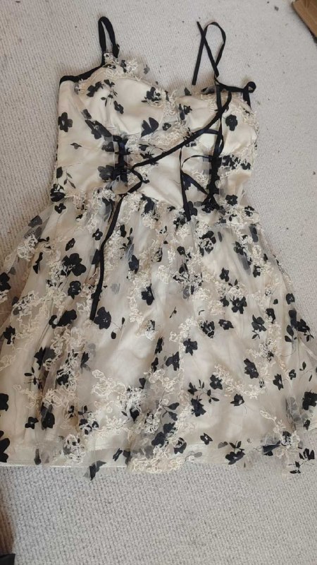 Photo gallery from 20250820, image 5