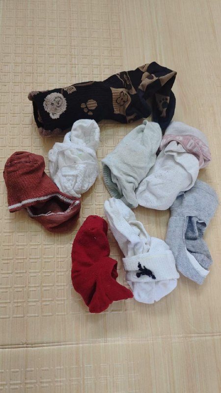 Photo gallery from 20231008, image 12