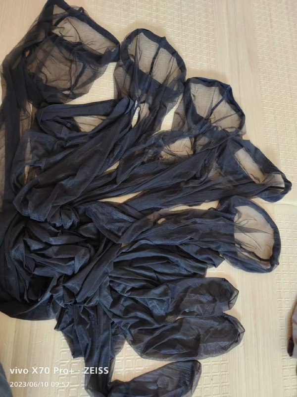 Photo gallery from 20230610, image 9