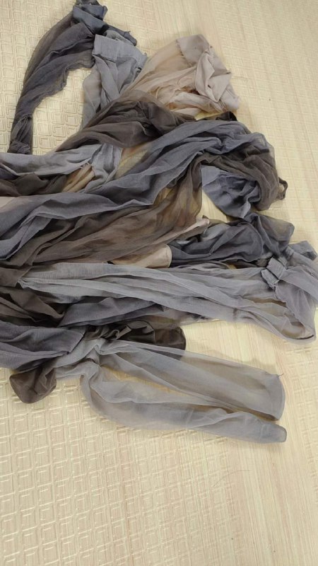 Photo gallery from 20230925, image 4