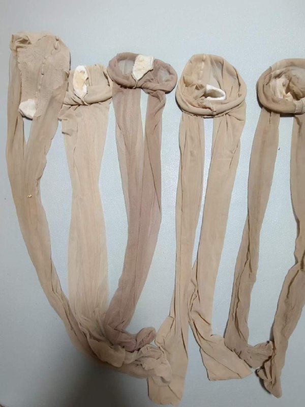 Photo gallery from 20230712, image 12