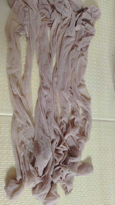 Photo gallery from 20250909, image 6