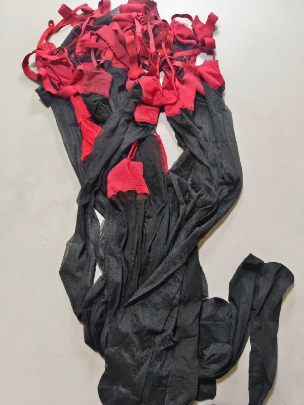 Photo gallery from 20250816, image 1