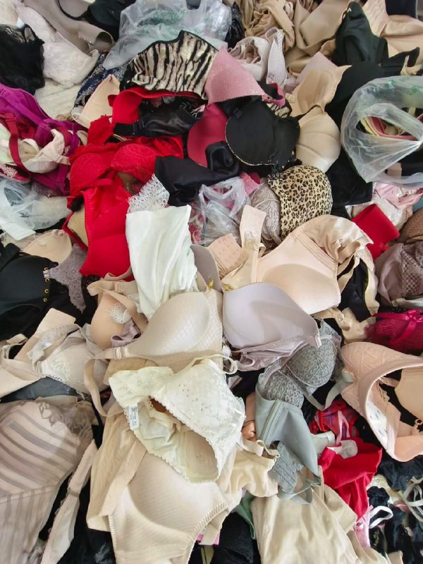 Photo gallery from 20240601, image 4