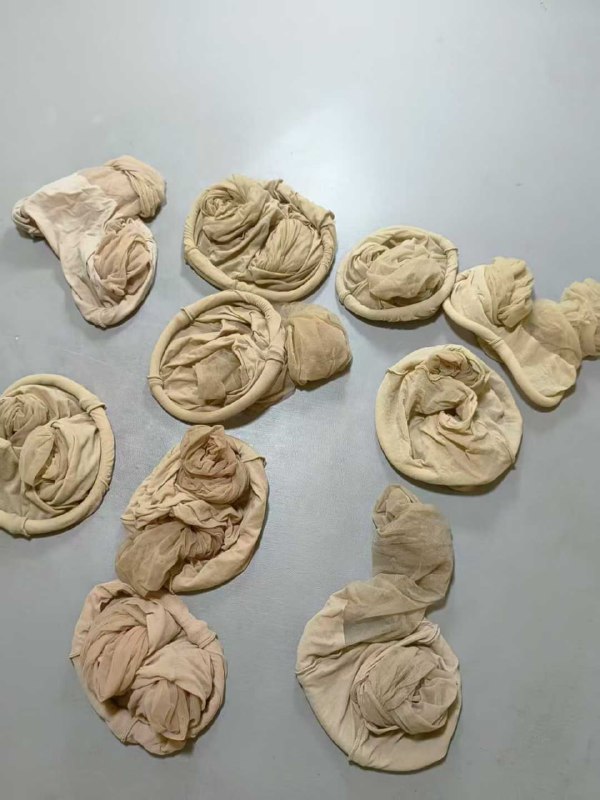 Photo gallery from 20250827, image 12