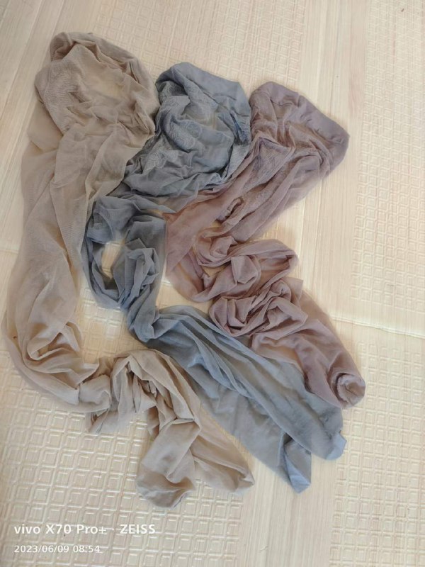 Photo gallery from 20230609, image 11