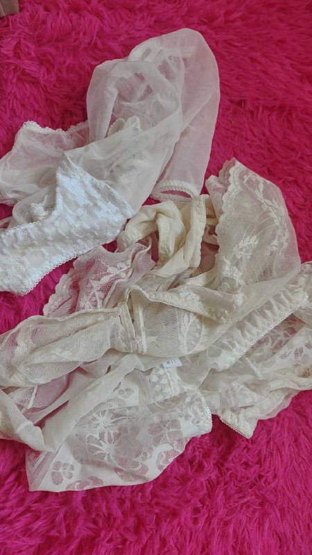 Photo gallery from 20250808, image 5