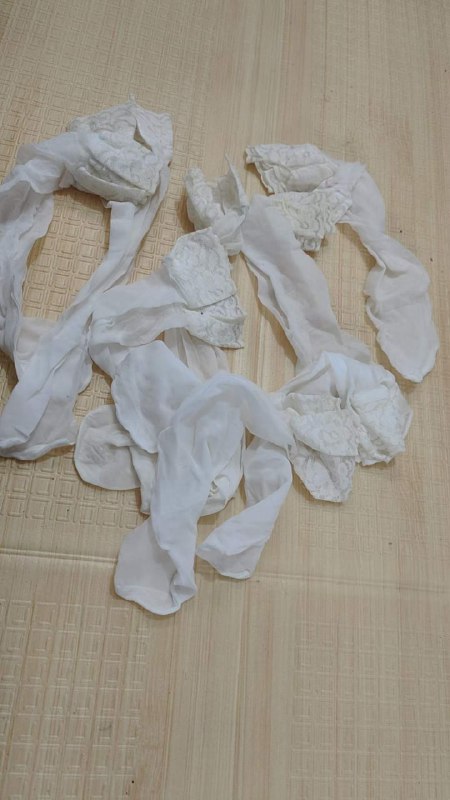 Photo gallery from 20240314, image 1