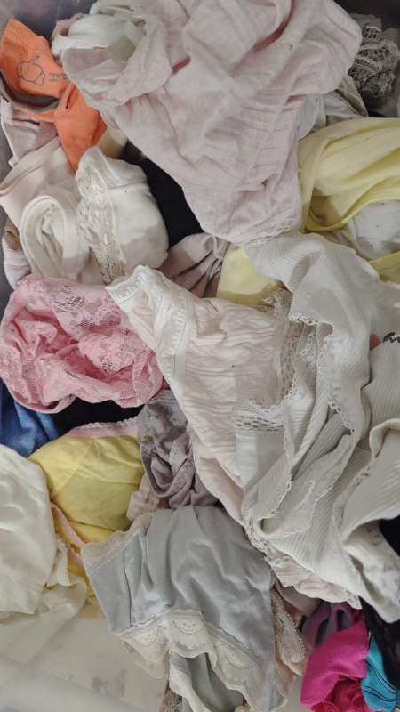 Photo gallery from 20240619, image 3