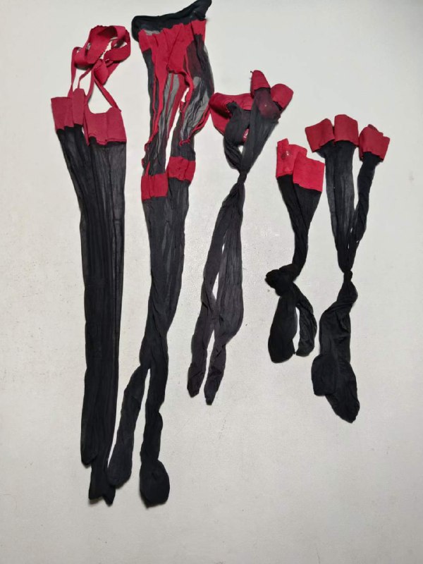 Photo gallery from 20240218, image 12