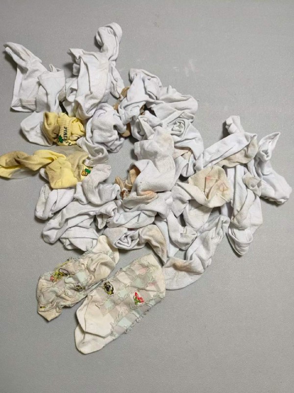 Photo gallery from 20230918, image 8