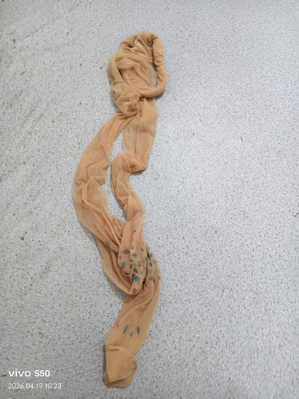 Photo gallery from 20260419, image 1