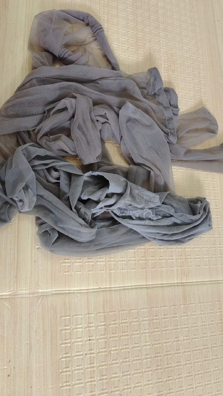 Photo gallery from 20230905, image 3